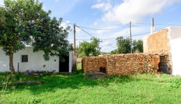 WEB RES-plotesnovells-16.jpg